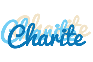 Charite breeze logo