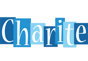 Charite winter logo