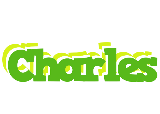 Charles picnic logo