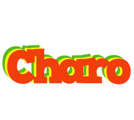 Charo bbq logo