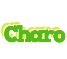 Charo picnic logo