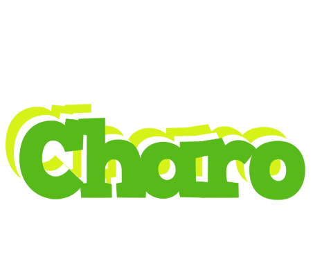 Charo picnic logo