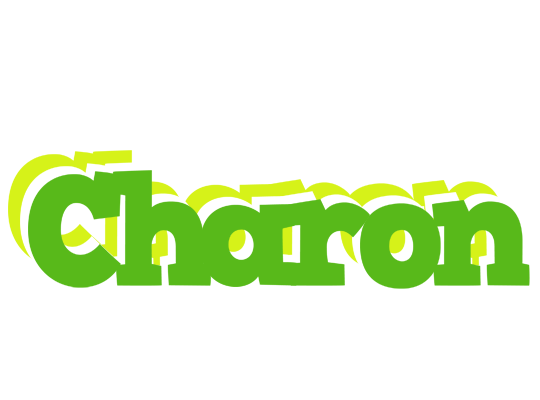 Charon picnic logo