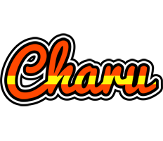 Charu madrid logo