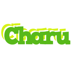 Charu picnic logo