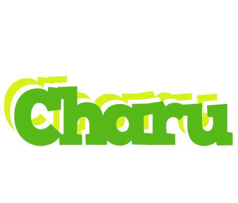 Charu picnic logo