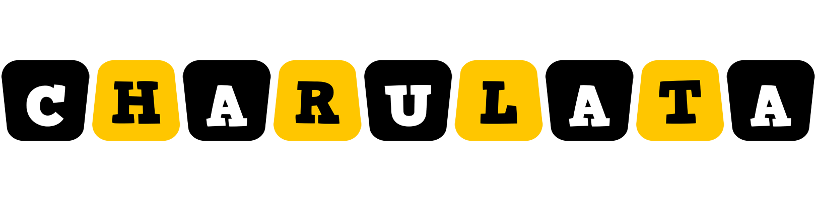Charulata boots logo
