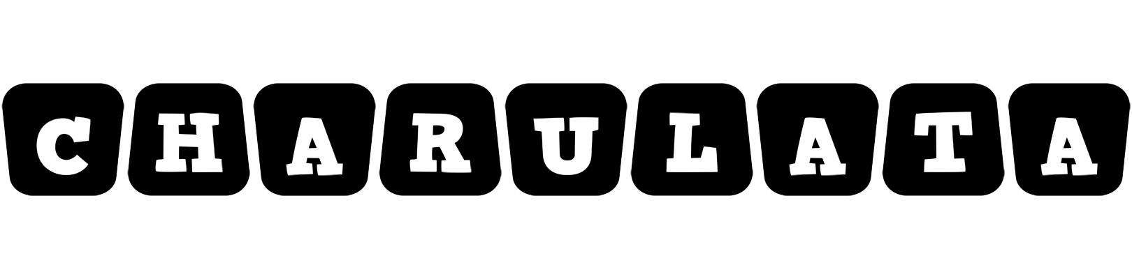 Charulata racing logo