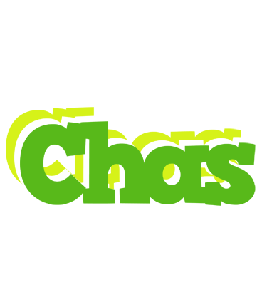 Chas picnic logo