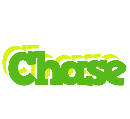 Chase picnic logo