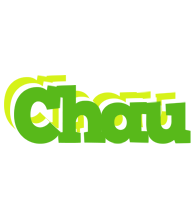 Chau picnic logo