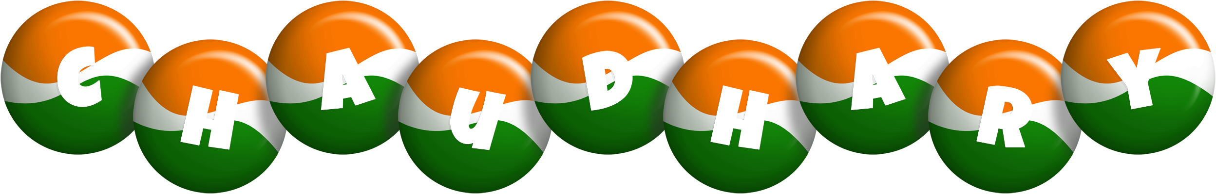 Chaudhary india logo