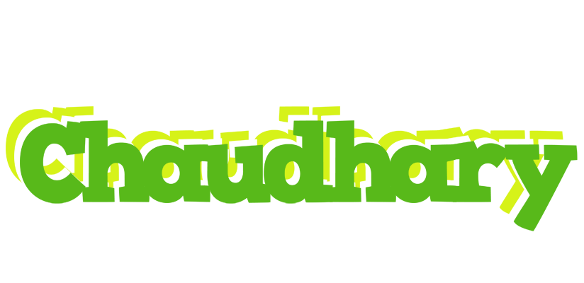 Chaudhary picnic logo