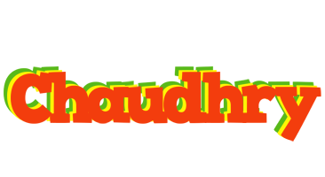 Chaudhry bbq logo
