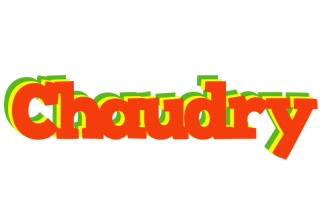 Chaudry bbq logo