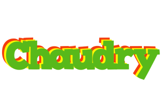 Chaudry crocodile logo