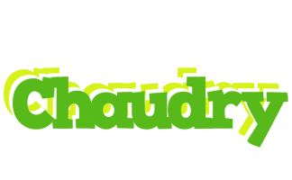 Chaudry picnic logo