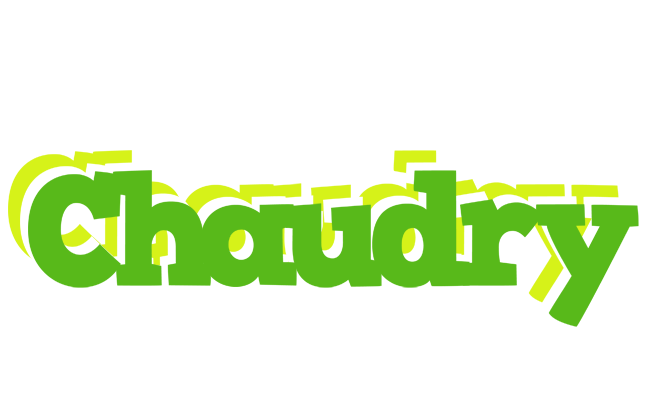 Chaudry picnic logo
