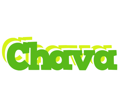 Chava picnic logo