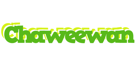Chaweewan picnic logo