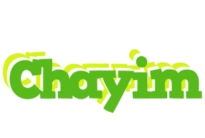 Chayim picnic logo