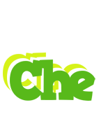 Che picnic logo