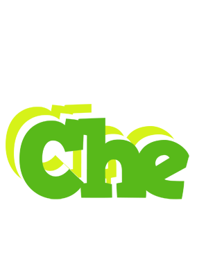 Che picnic logo