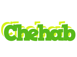 Chehab picnic logo