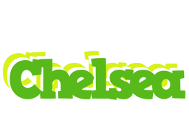 Chelsea picnic logo