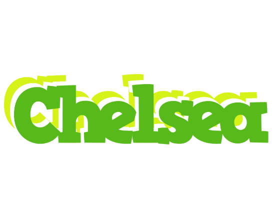 Chelsea picnic logo