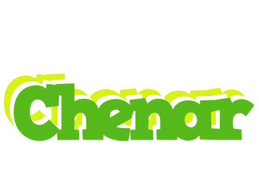 Chenar picnic logo