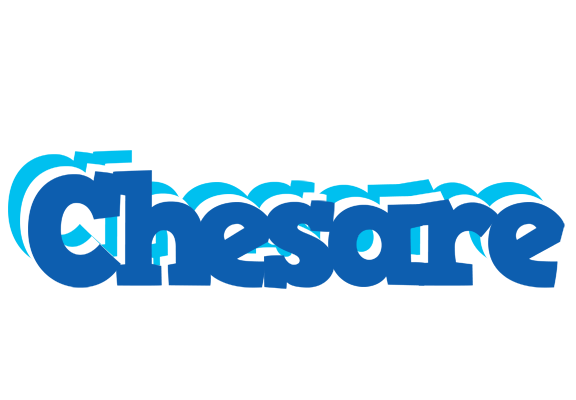 Chesare business logo
