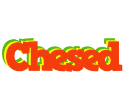 Chesed bbq logo