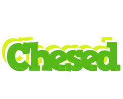 Chesed picnic logo