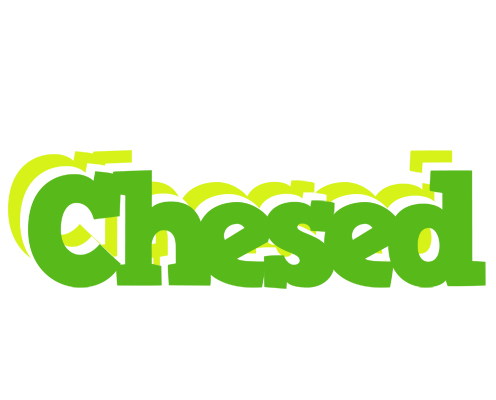 Chesed picnic logo
