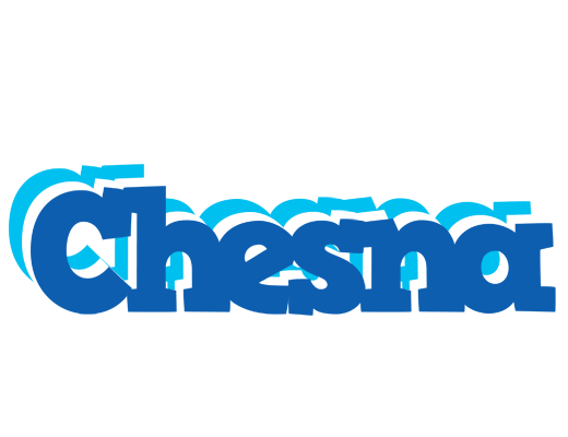 Chesna business logo