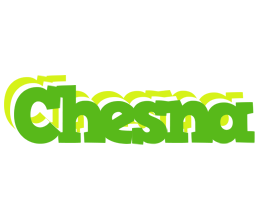 Chesna picnic logo