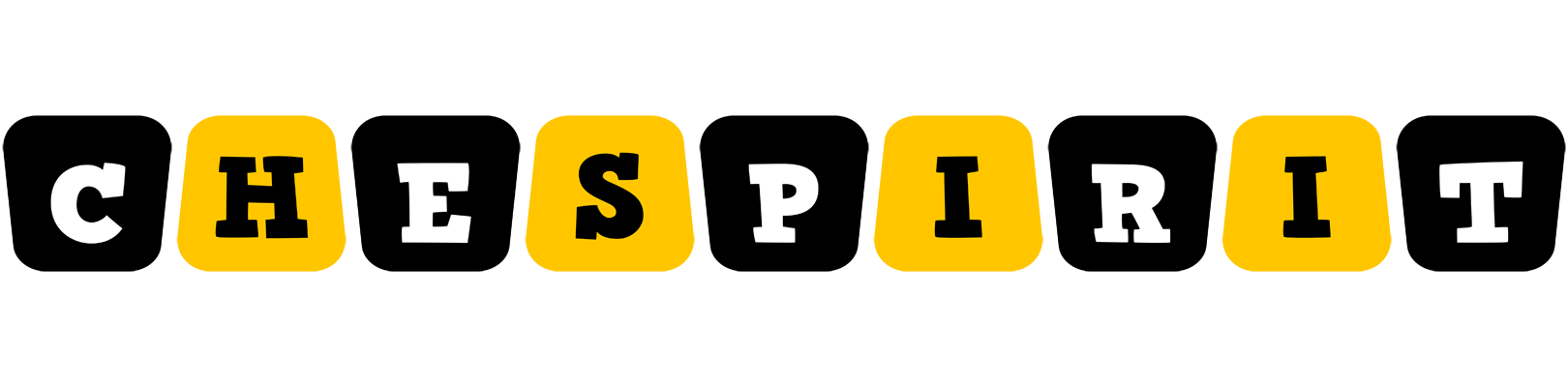 Chespirit boots logo