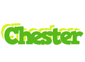Chester picnic logo