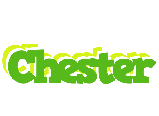 Chester picnic logo