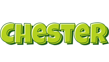 Chester summer logo