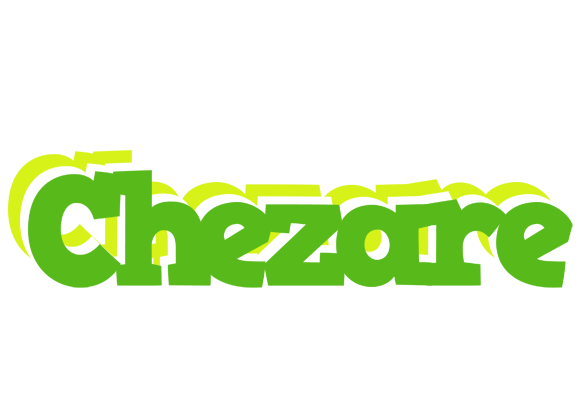 Chezare picnic logo