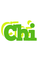 Chi picnic logo