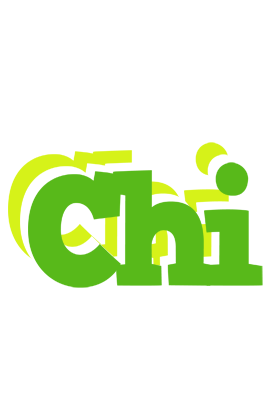 Chi picnic logo