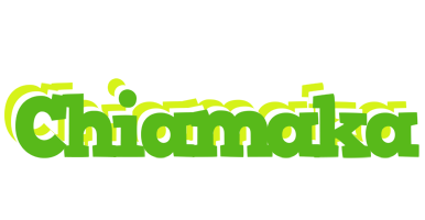 Chiamaka picnic logo