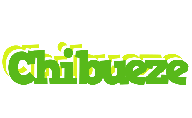 Chibueze picnic logo