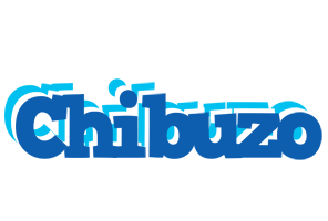 Chibuzo business logo