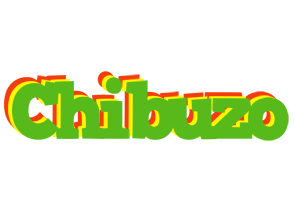 Chibuzo crocodile logo