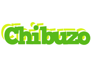 Chibuzo picnic logo