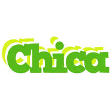 Chica picnic logo